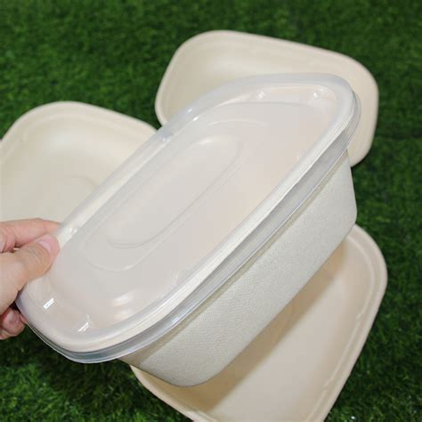 Watsonpak Customized 100 Compostable Take Out Birthday Party Non