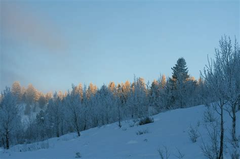 Grand Teton National Park in the Winter - The Tumbling Nomads