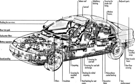 Exploring The Anatomy Of Mercedes A Visual Guide To Body Parts