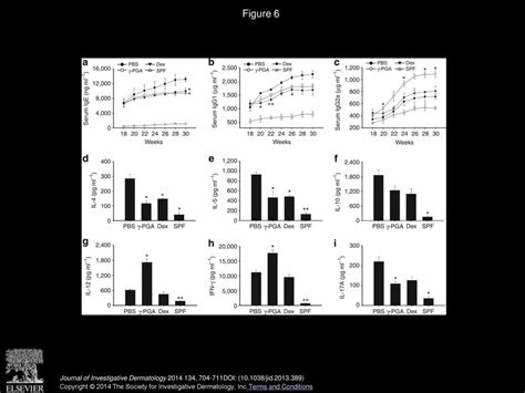 Oral Administration Of Poly γ Glutamate Ameliorates Atopic Dermatitis