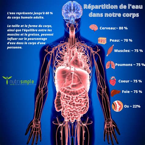 Chroniques Et Informations Sant Nutrisimple Attention La