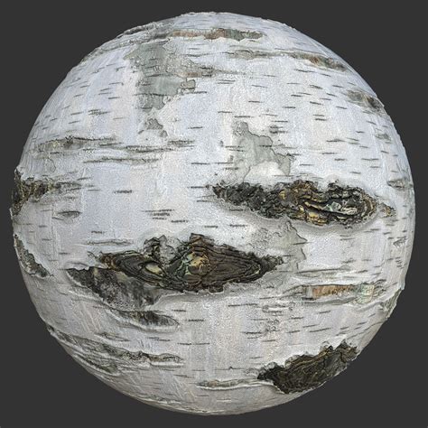 Birch Tree Bark Texture Free PBR TextureCan