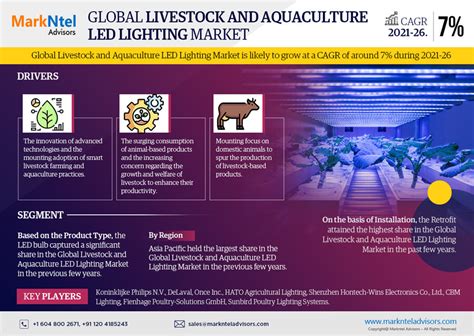 Infographics Livestock And Aquaculture LED Lighting Market Size Share