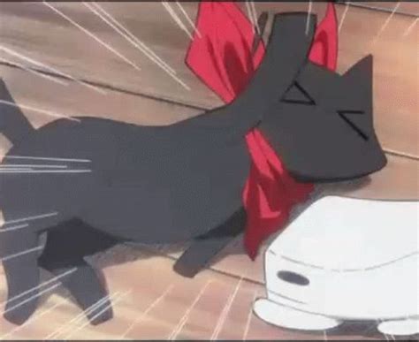 Nichijou Sakamoto Nichijou Sakamoto Cat Discover Share GIFs