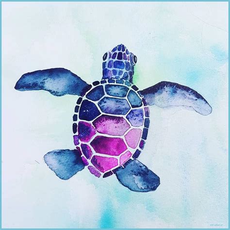 Aesthetic Turtle Wallpapers Top Free Aesthetic Turtle Backgrounds