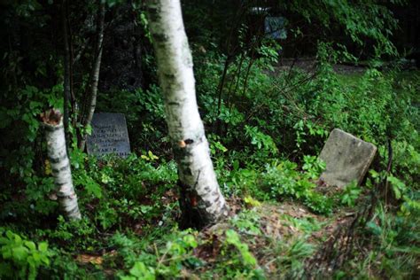 West Clifford Burial Ground En West Clifford Nova Scotia Cementerio