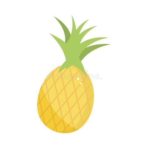 Fruit Tropical D Ananas Illustration De Vecteur Illustration Du