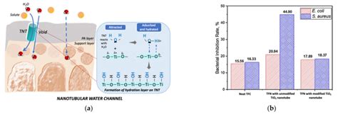 A Schematic Illustration Of Surface Hydroxyl Groups And Nanochannels