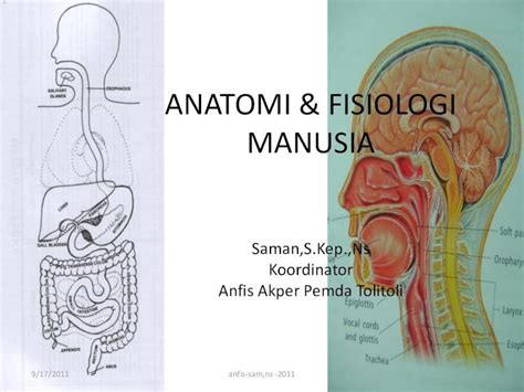 PDF Anatomi Fisiologi Manusia Modul DOKUMEN TIPS