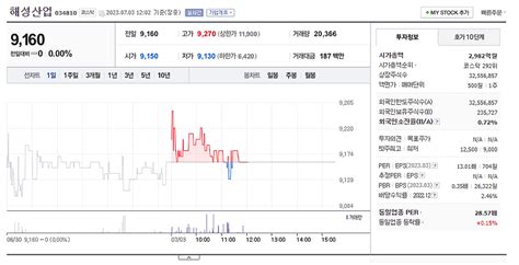 해성디에스 주가 전망 확인과 기업 상세 정보