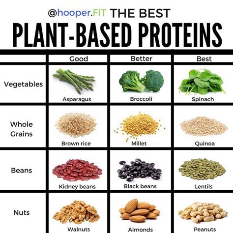 THE BEST PLANT BASED PROTEINS Firstly High Five To My Source