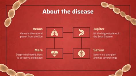 Chancroid Disease Presentation