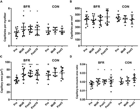 Frontiers Skeletal Muscle Microvascular Changes In Response To Short