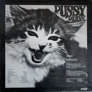 Presenting My Record Collection Pussy Pussy Plays