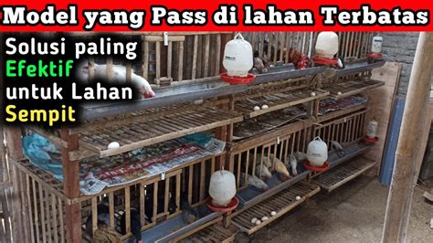 Kandang Indukan Ayam Kampung Kandang Ayam Dari Bambu Youtube