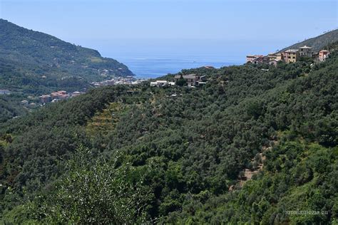 Vignana Fotografie Immagini Del Borgo Di Vignana Levanto Sp