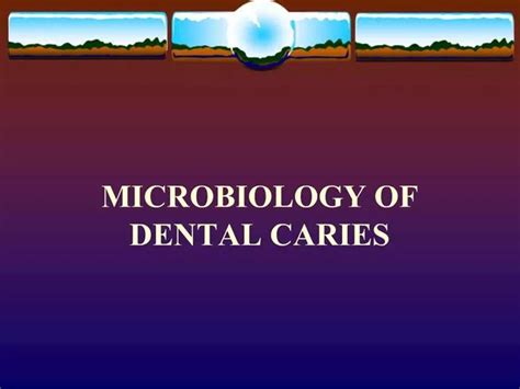 Ppt Microbiology Of Dental Caries Powerpoint Presentation Free