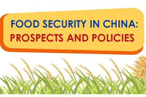 Food Security In China Prospects And Policies Cn