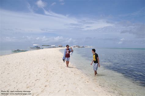 Virgin Island in Panglao, Bohol - Philippines Tour Guide