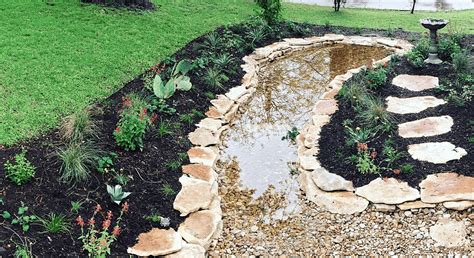 What is a Rain Garden? | Maas Verde Landscape Restoration