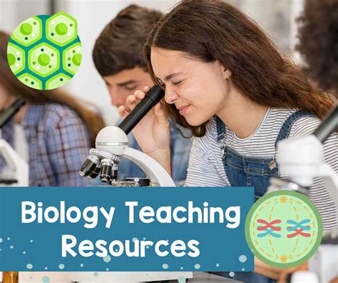 Macromolecules Lab Enhancing High School Biology Lessons With Food