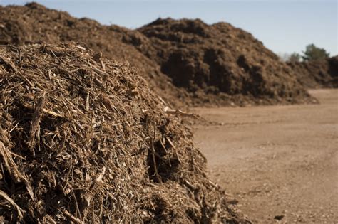 Master Gardeners: Know the differences between compost, mulch