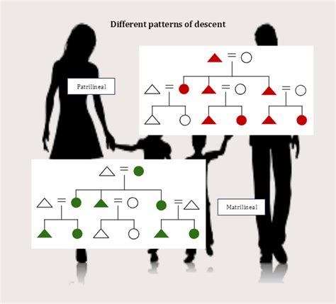 Different Patterns Of Kinship Diagram Template EdrawMax Templates