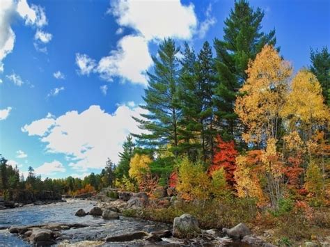 5 razones por las que visitar los bosques de Canadá en Otoño LOFF IT