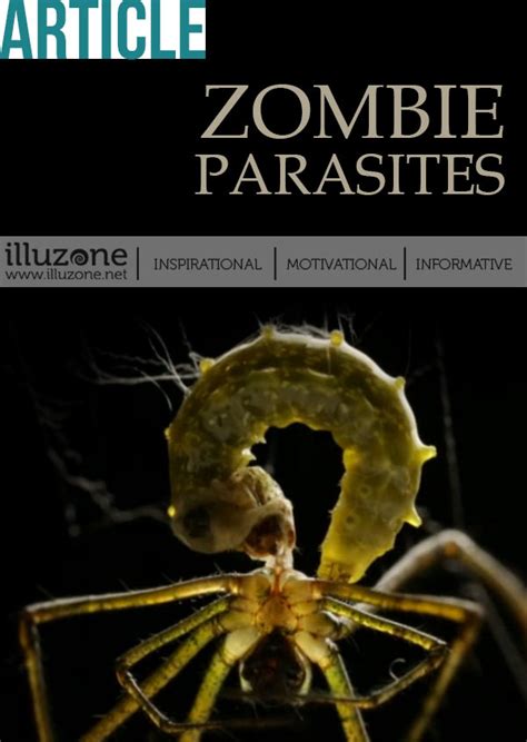 VIDEO | Zombie Parasites - Illuzone