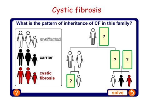 Inheritance Make Sure You Revise Mitosis Cell Division Ppt Download