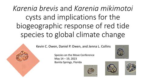 (PDF) Karenia brevis and Karenia mikimotoi cysts and implications for the biogeographic response ...