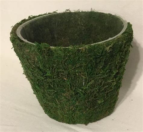 Round Moss Pot Round Moss Basket Fairy Garden Fairy Garden