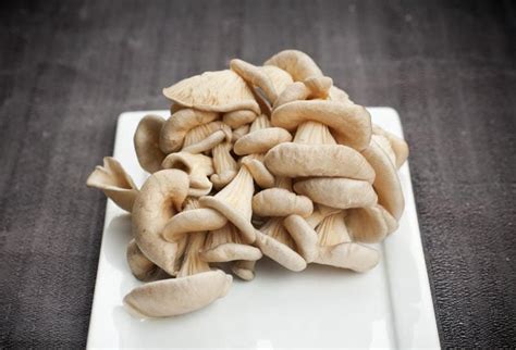 What Are Oyster Mushroom Substitute At Darrell Matthew Blog