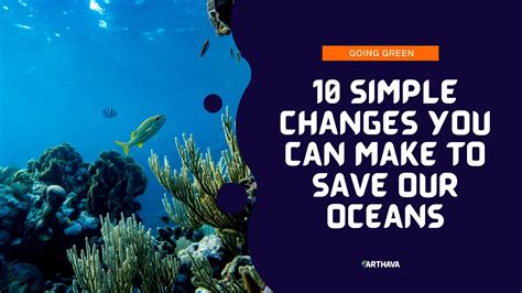 10 Simple Changes You Can Make To Save Our Oceans Earthava