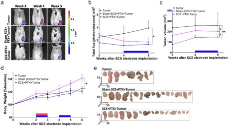 Preemptive Scs During Ptx Treatment Increases Chemoefficacy And Late