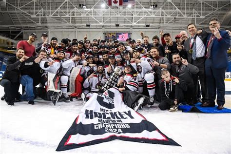 UNB Reds men's hockey coach joins Moncton Wildcats | CBC News