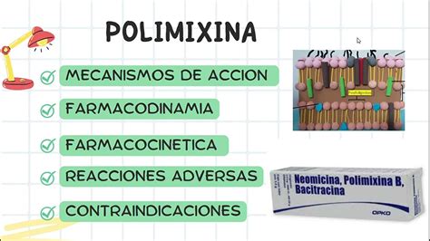 Polimixina Farmacologia Youtube