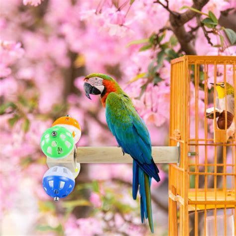 Bird Stand Perch Toy With Rotating Balls Creative Rotating Bell Balls