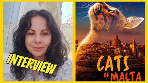 Cats Of Malta Interview Director Sarah Jayne Talks Filming Cats And