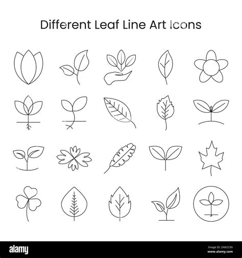 Leaf Icon Vector Set Outline For Nature Design Elements Vegan Leaf