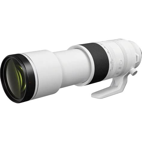 Canon RF 200-800mm lens reviewed for Wildlife Photography - Janine