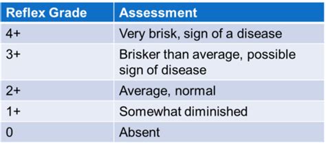 Wandf Ch 6 7 Hypertensive Disorders Flashcards Quizlet