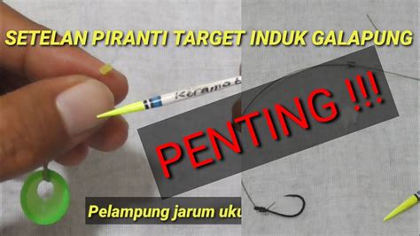 RAHASIA TRIK CARA SETTING LENGKAP RANGKAIAN PIRANTI PANCING TARGET