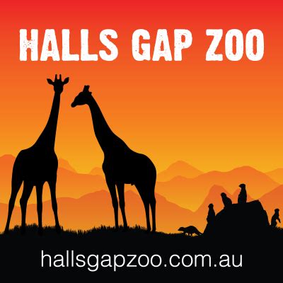 Halls Gap Zoo