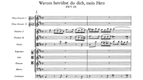 J S Bach Warum Betr Bst Du Dich Mein Herz Bwv Youtube