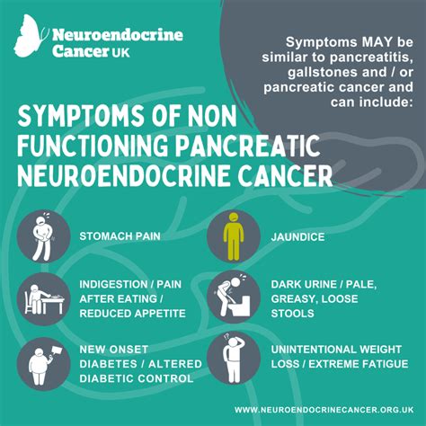 Pancreas Neuroendocrine Cancer Uk