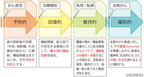 がんのリハビリテーションとは 国立がん研究センター 東病院