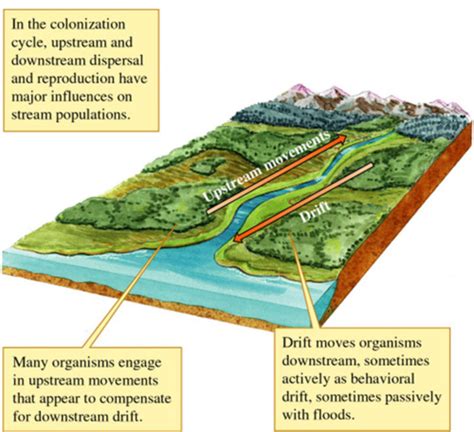 Module 3 Aquatic Biomes Flashcards Quizlet