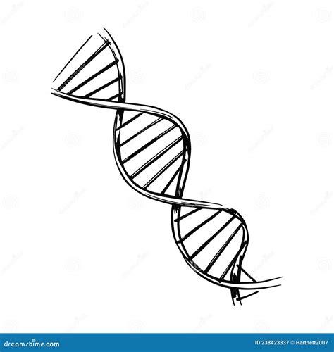 Dna Vector Illustrator