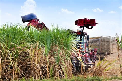 Premium Photo | Sugarcane harvester machine